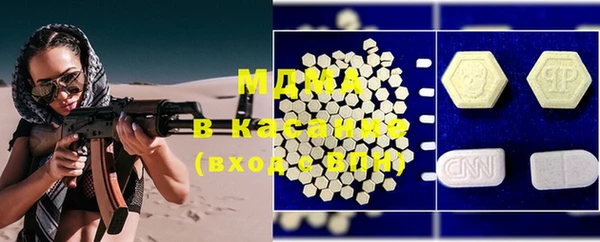 индика Богданович