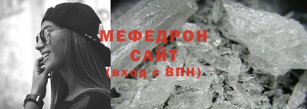 индика Богданович