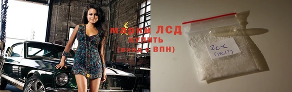 индика Белокуриха