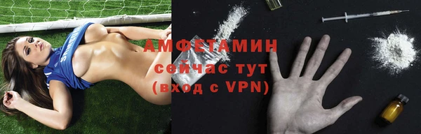 индика Белокуриха
