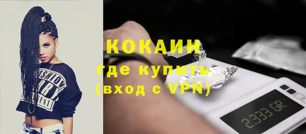 индика Богданович
