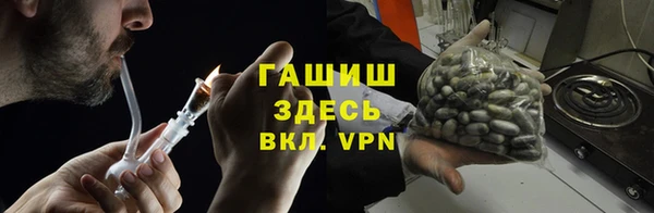 индика Белокуриха