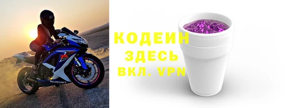 индика Богданович
