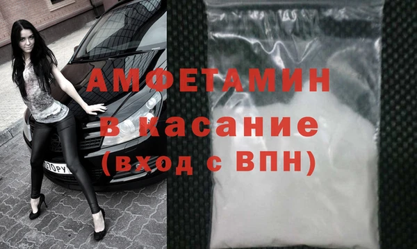 индика Богданович