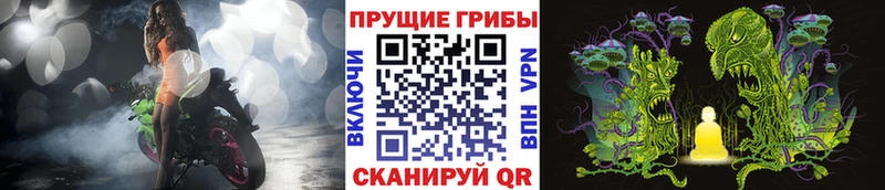 купить наркоту  Невель  Галлюциногенные грибы мицелий 